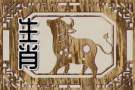 1985 属相|1985年属牛的是什么命，85年出生的牛五行属什么